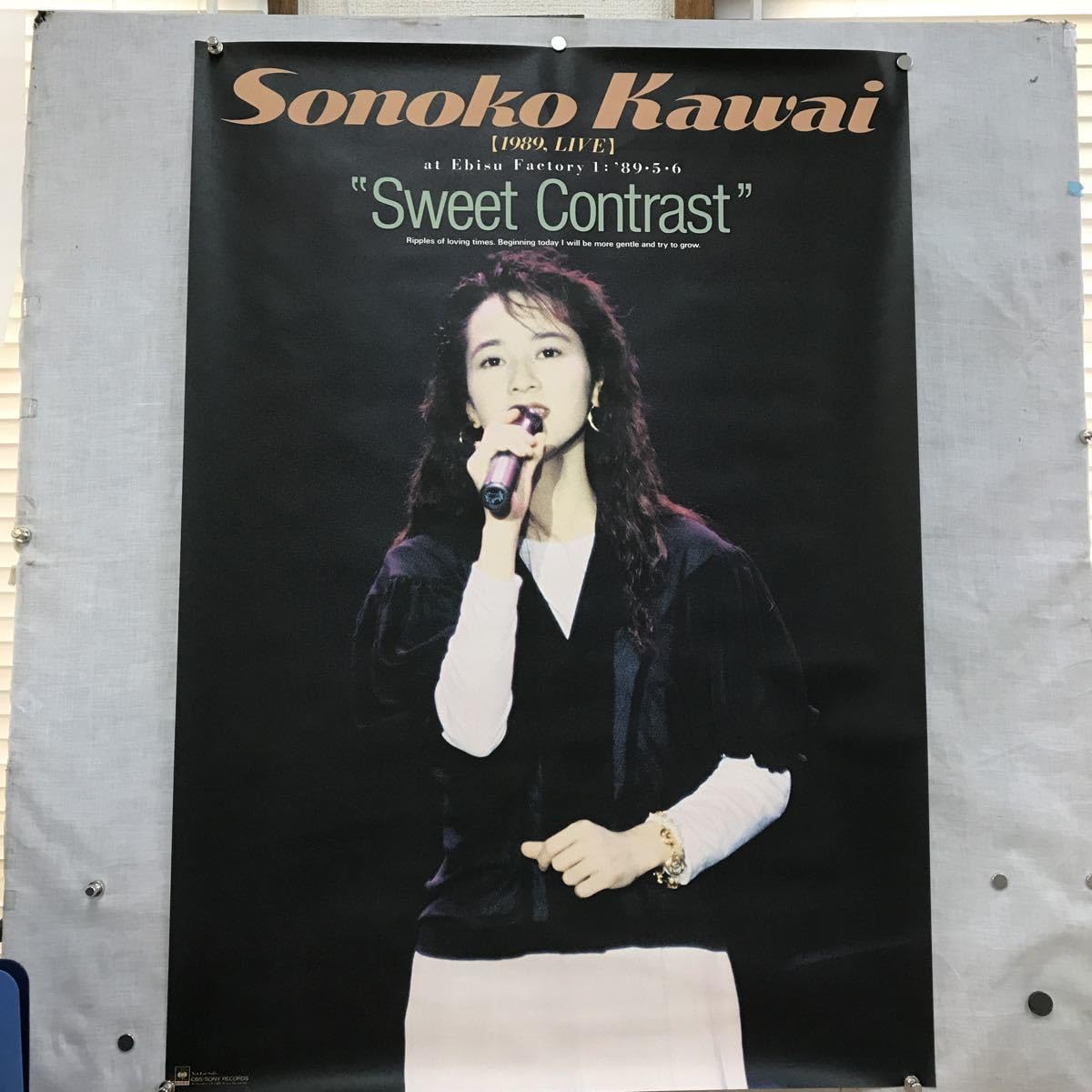 Amazon.co.jp: K372 河合その子 1989 LIVE ”Sweet Contrast